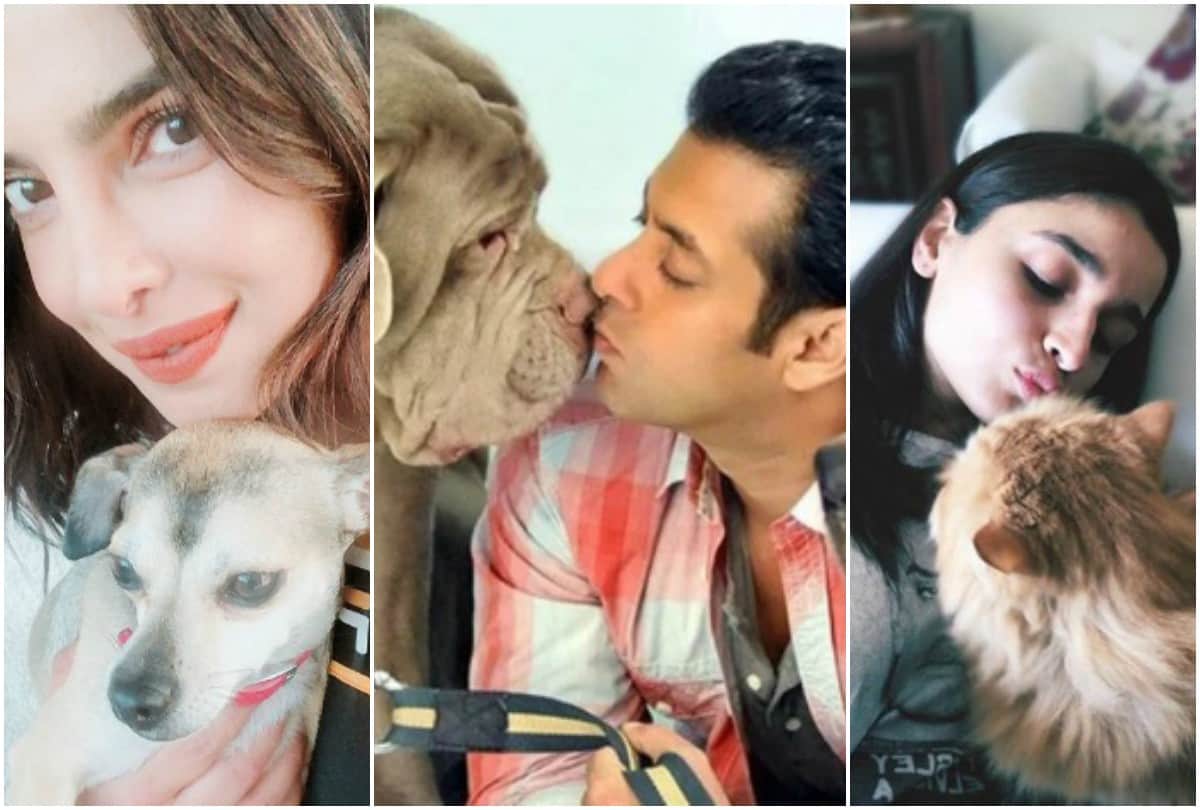 Priyanka Chopra to Salman Khan 7  Bollywood stars With Their Super Adorable Pets