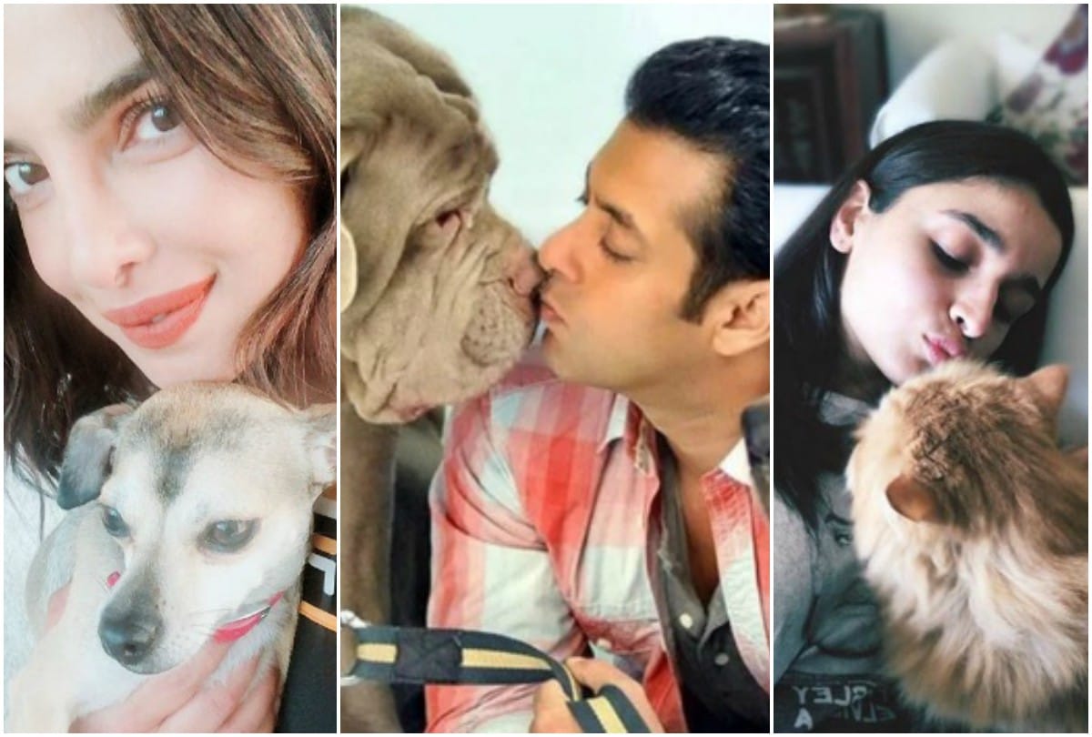 Priyanka Chopra to Salman Khan 7  Bollywood stars With Their Super Adorable Pets