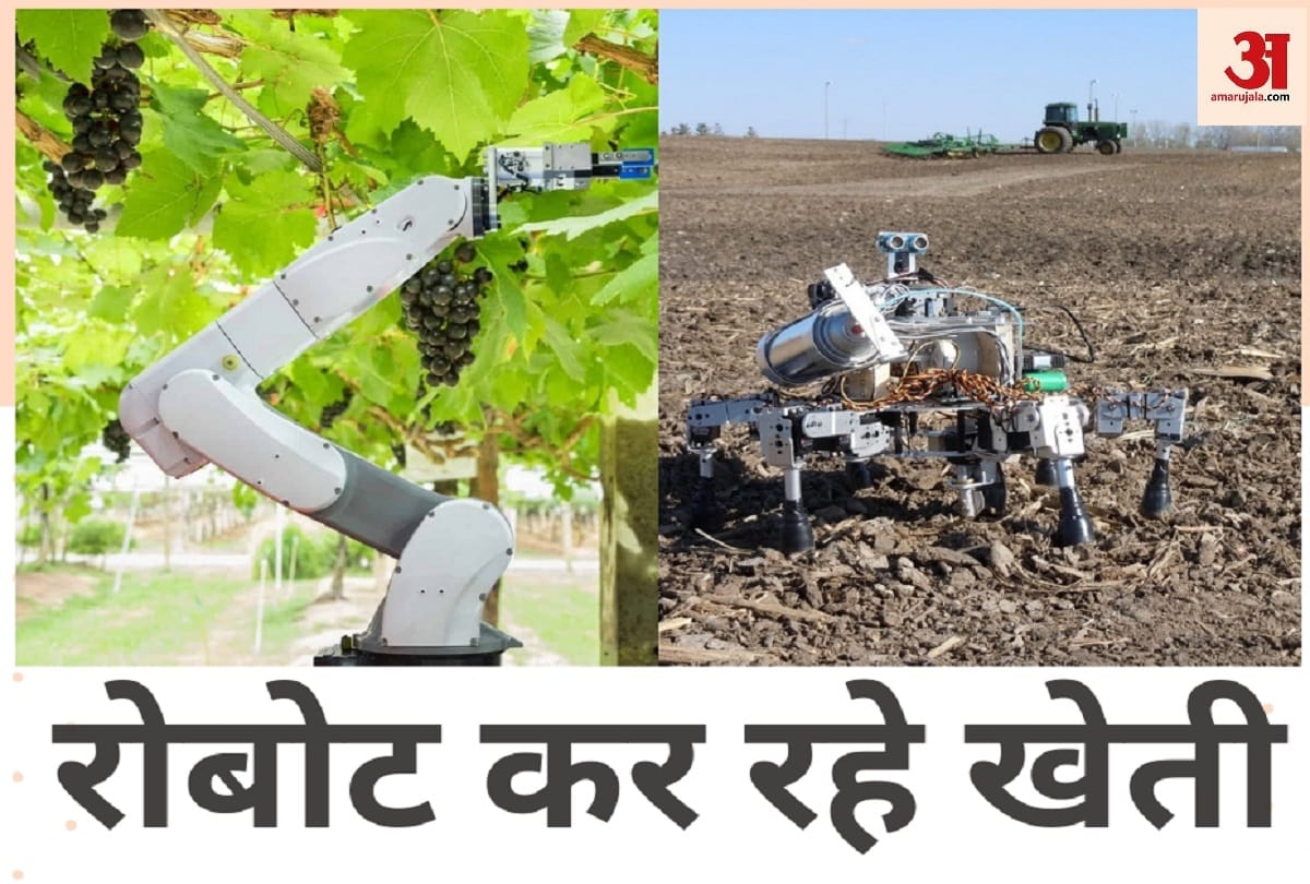 robots doing farming including grow and harvest the crop in london