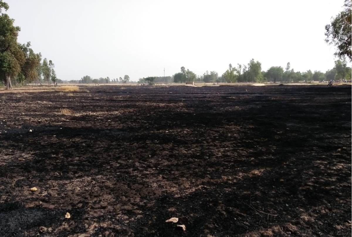 crops in 400 beegha land destroyed by fire in raebareli, fire fighter struggle for hours
