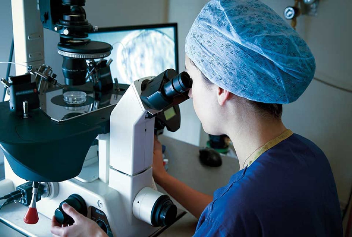Success in child birth through DNA-related controversy of IVF technology
