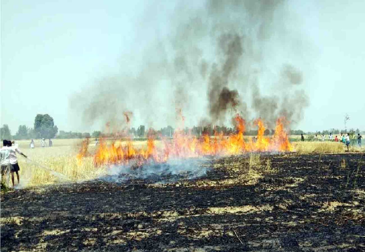 Five hundred bigha wheat crop burnt into ashes in hardoi