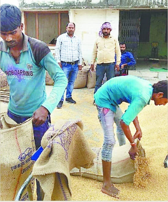 Purchase Wheat From Farmers house in up kasganj news