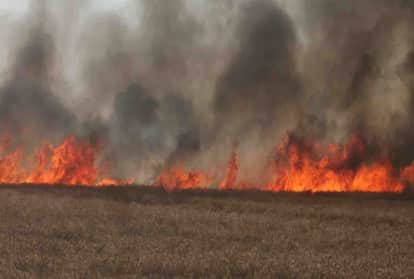 सांकेतिक तस्वीर