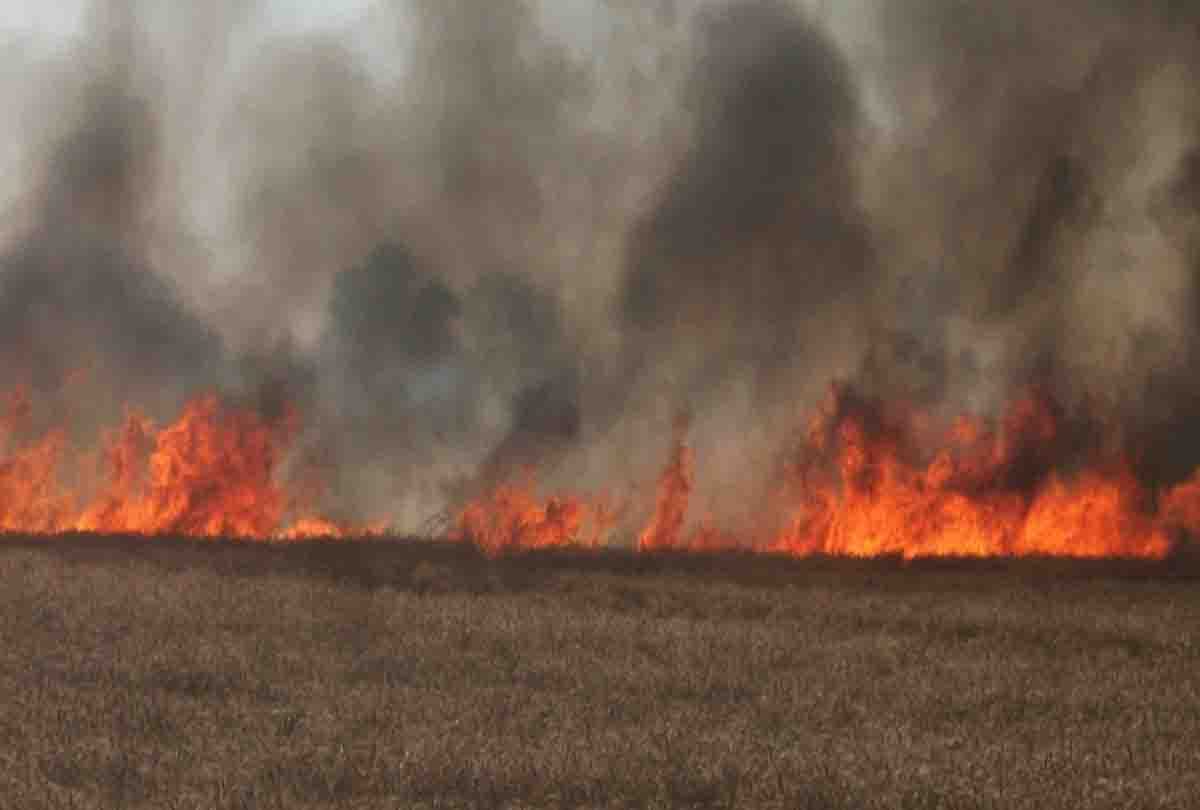 fire in field of wheat