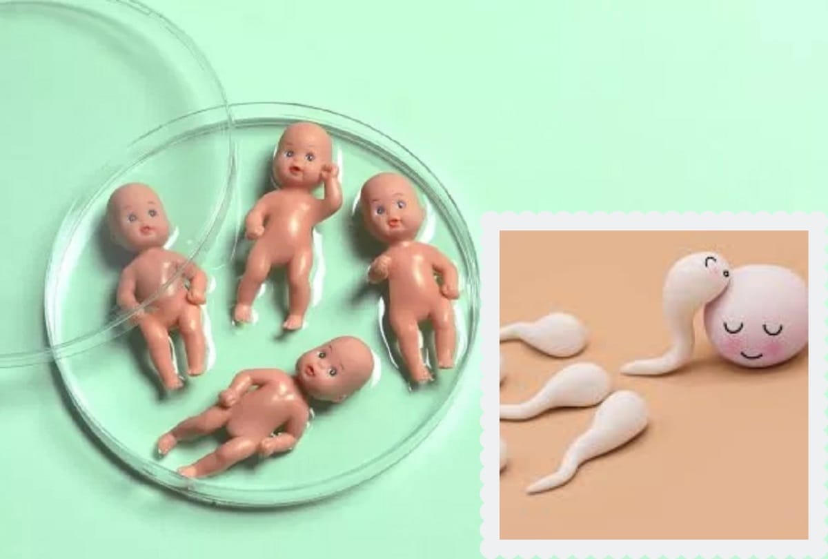 know what is in vitro fertilization and how does it works