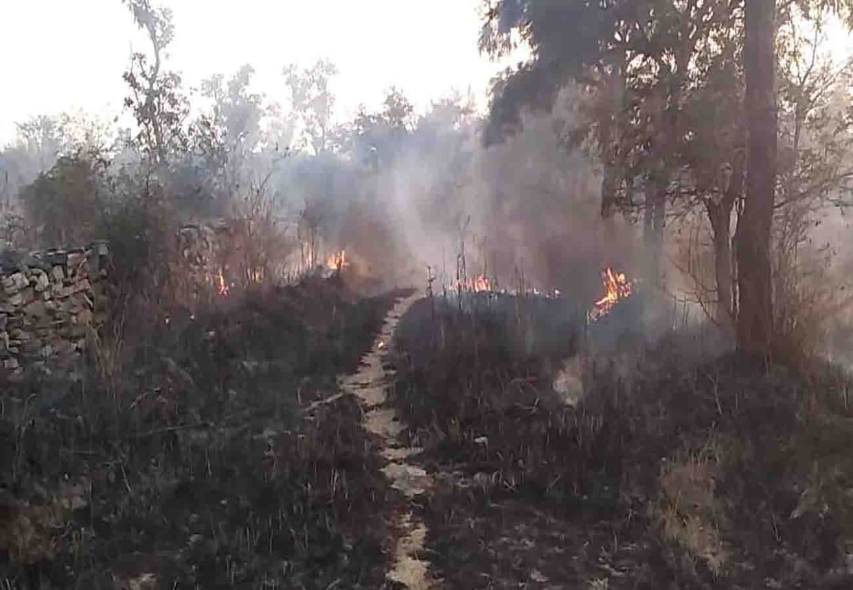 fire in mendhar poonch jammu kashmir jungle on line of control, mine blast