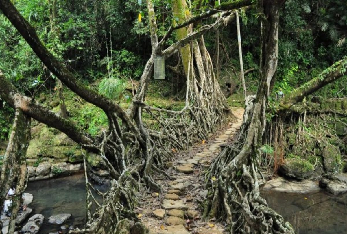 india best village dstination majuli munsiyari lauchen meghalaya