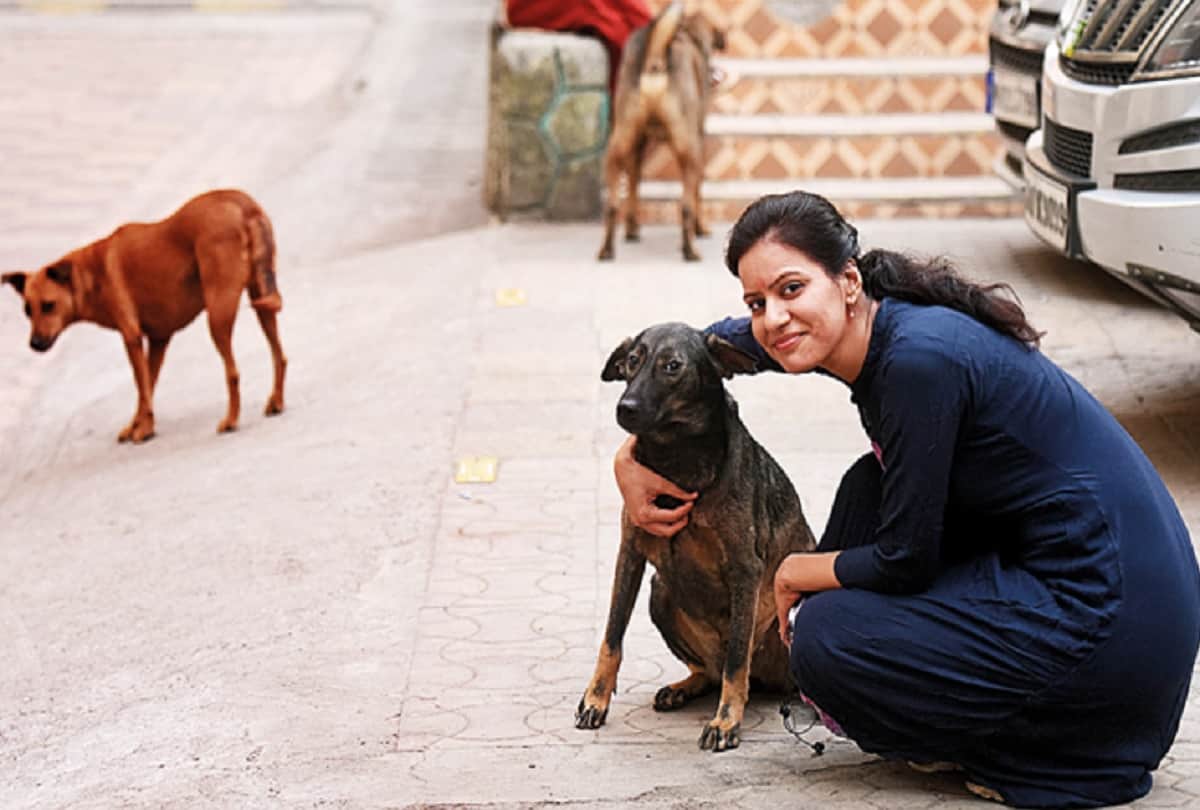 Mumbai woman charged more than 3 lakh rupees by society for feeding stray dogs