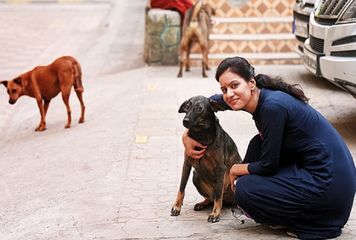 Mumbai woman charged more than 3 lakh rupees by society for feeding stray dogs