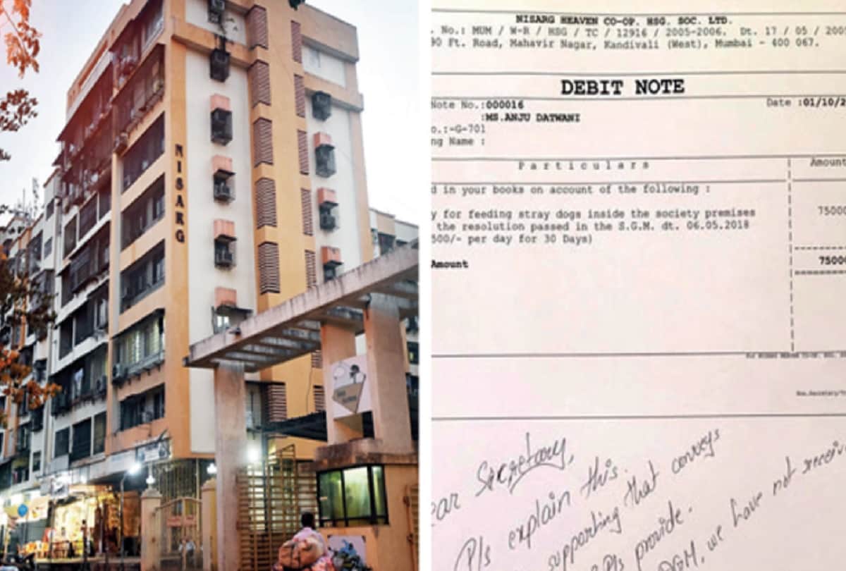 Mumbai woman charged more than 3 lakh rupees by society for feeding stray dogs