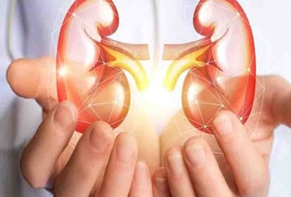 Kidney Transplant done first time in AIIMS Rishikesh 27-year-old Youth was transplanted with his father kidney