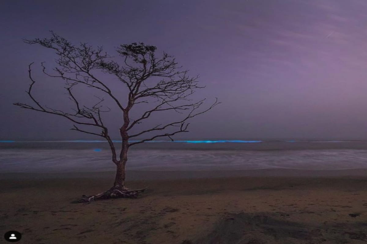 must visit offbeat beach near bhitarkanika will make your trip amazing