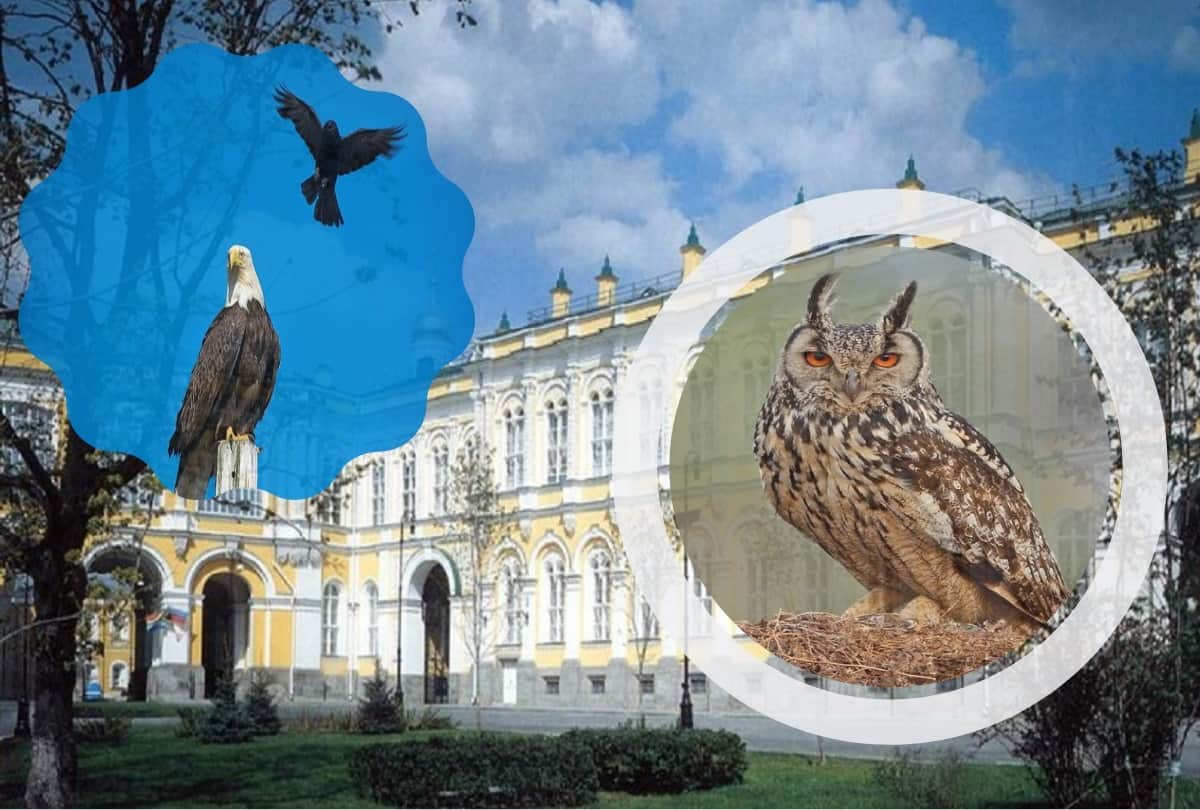 team of eagle and owls to protect security guarding Kremlin President of Russian house