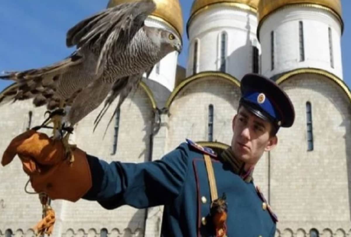 team of eagle and owls to protect security guarding Kremlin President of Russian house