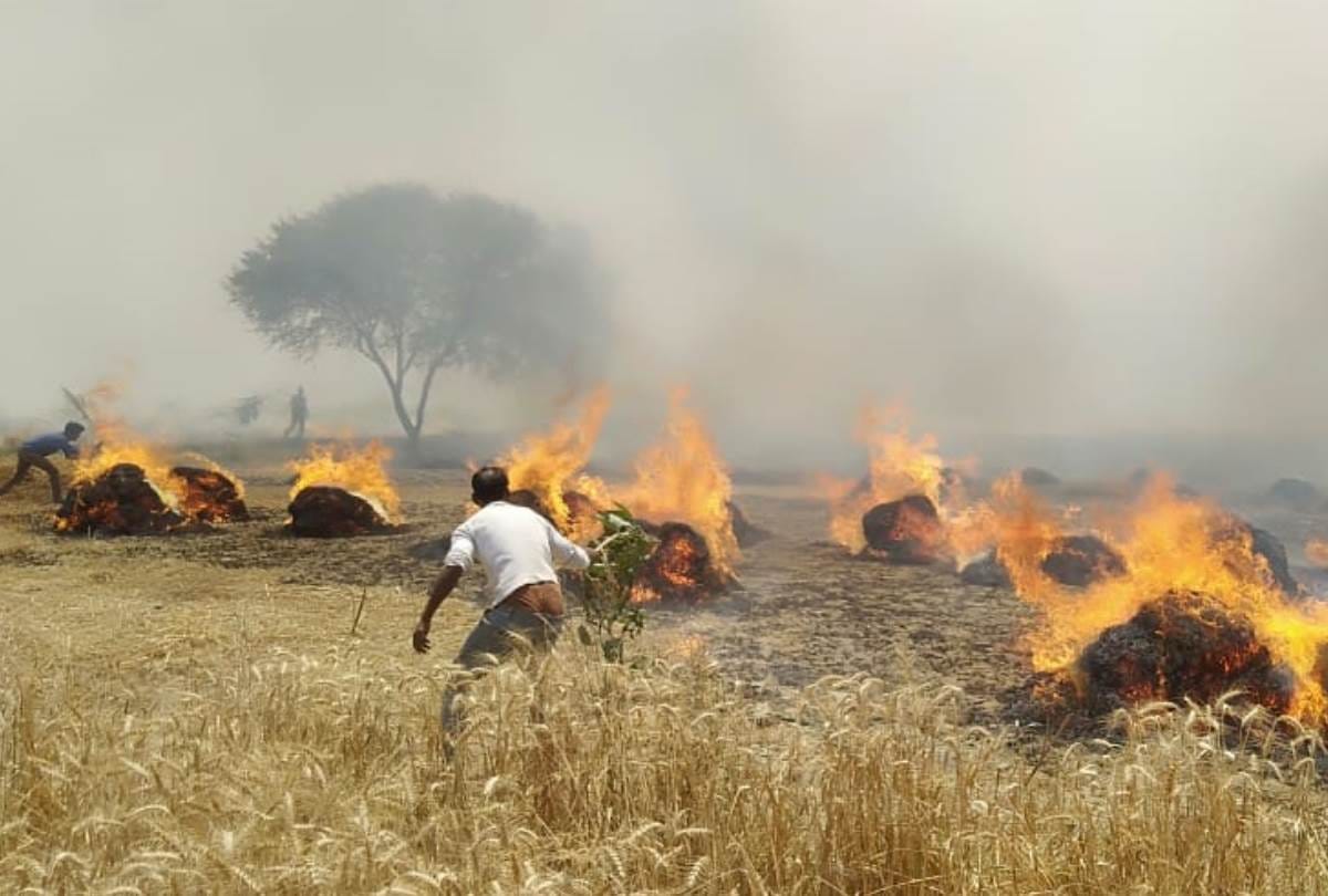 crops worth 6 lakh rupees burnt in 5 places of sultanpur district