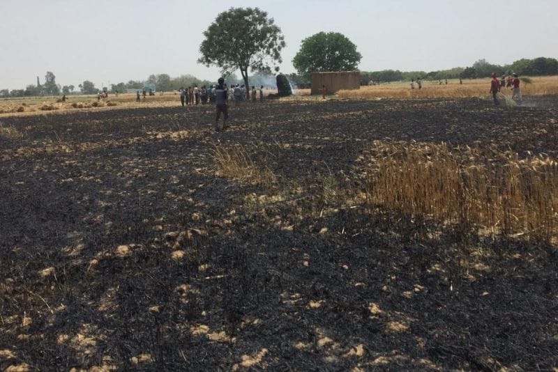 खेतों मे लगी आग, 45 बीघा फसल जलकर राख