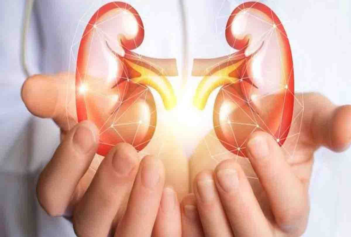 Two People of different sects saved life by donate Kidney to each other