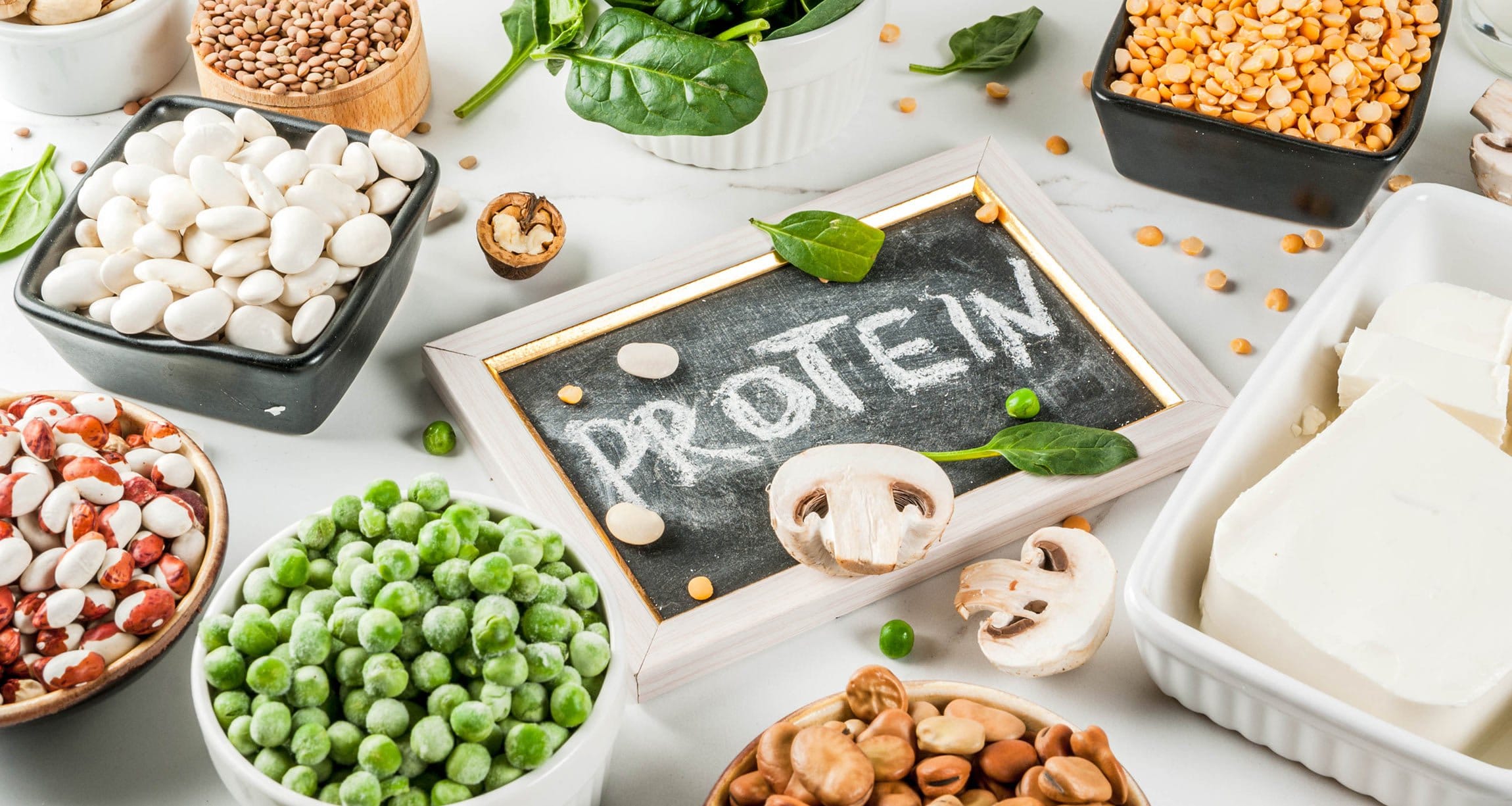 Interesting Science Experiment in Finland, know how to make protein from air