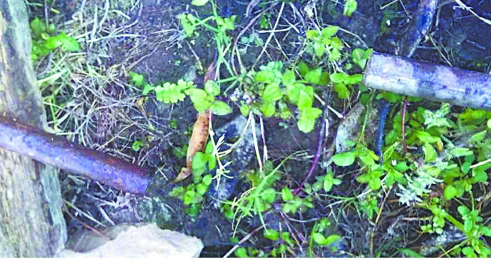 2.5 million expenditure in the renovation, neither 2.5 liters were found