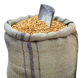 Wheat and rice of poor trapped in 2G network