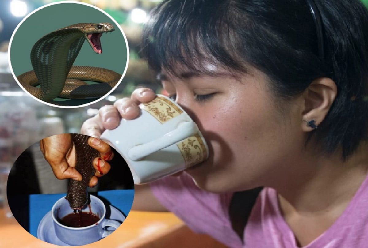 Women drinks Cobra snake blood to look beautiful in Jakarta