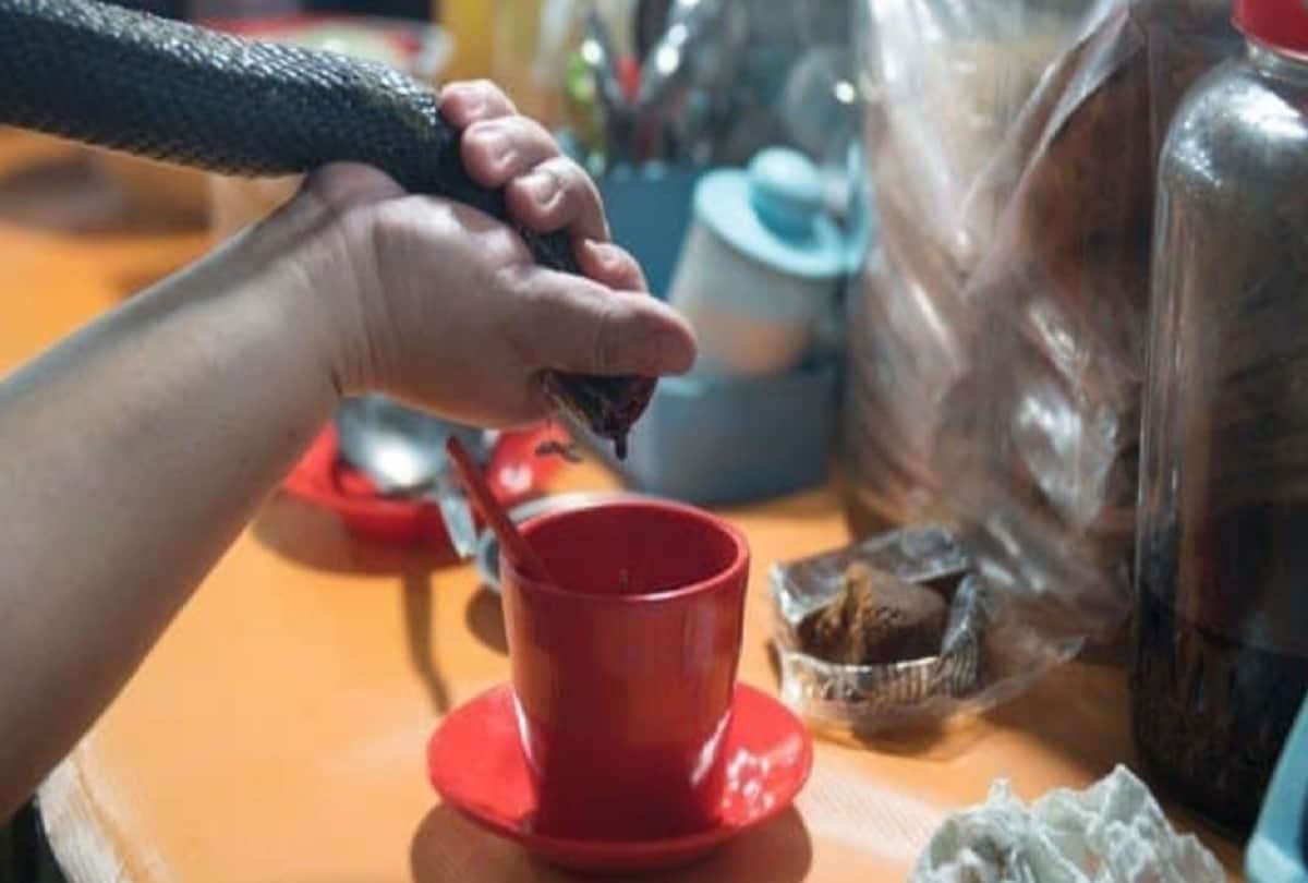 food and drink made of snake in vietnam