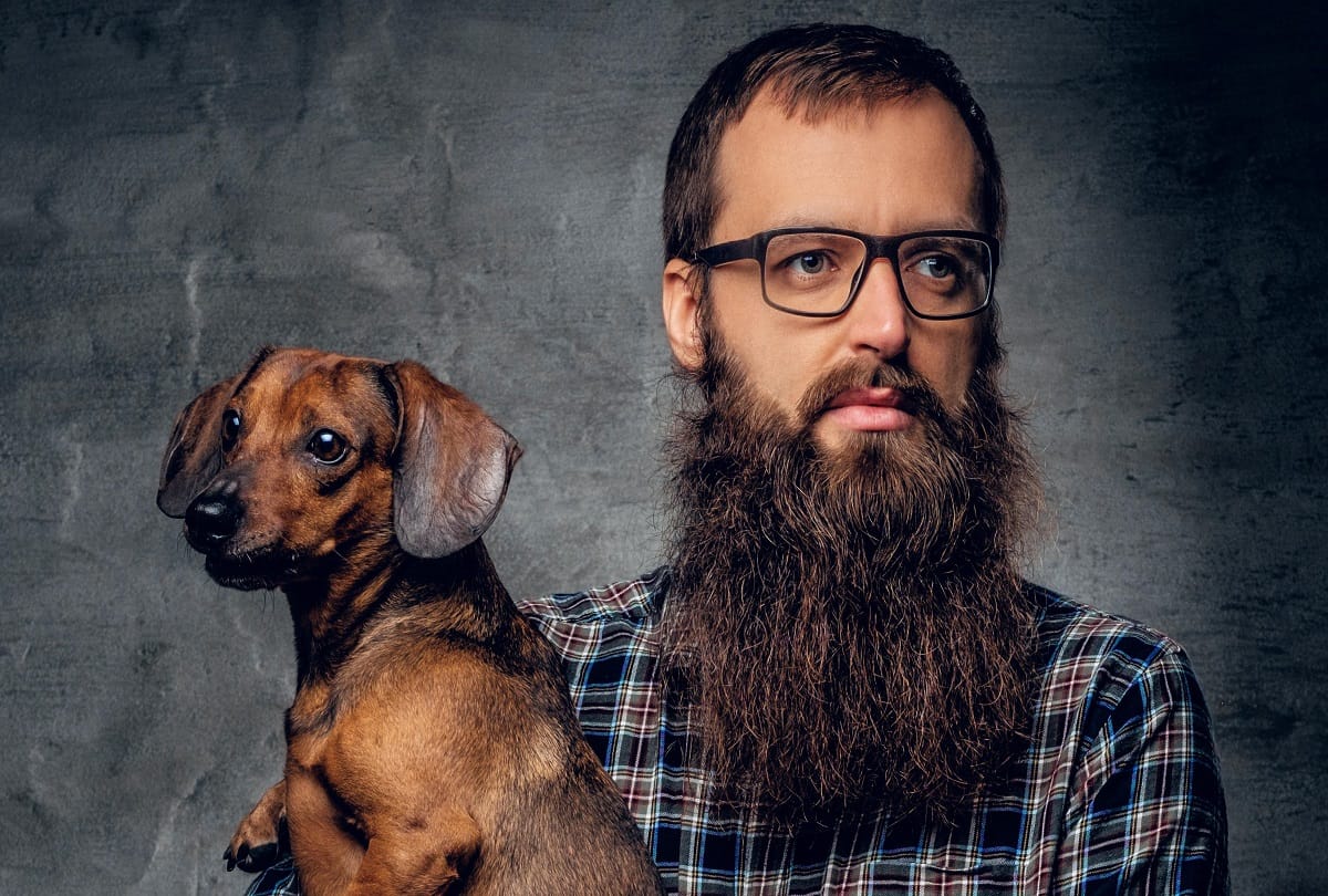 men beards carry more germs and than dog fur including deadly bacteria in facial fuzz study reveals