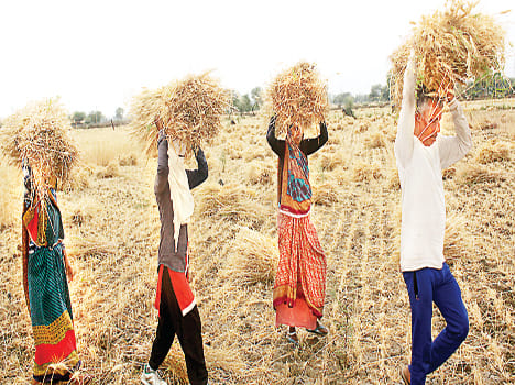 Chitrakootham Mandal changed season to peasant farmers