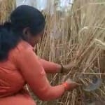साध्वी निरंजन ज्योति