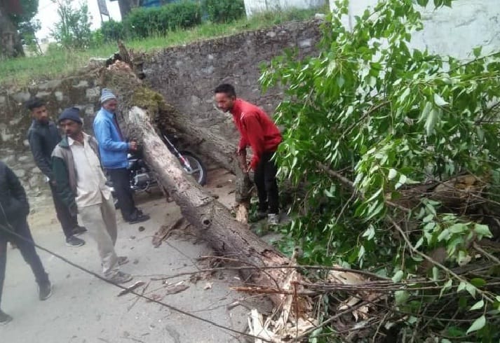 Dropped trees on the Champawat-Tamale Road, children survivors