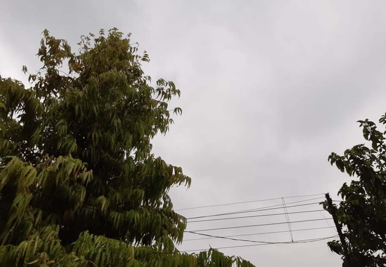 latest news related to weather department warns of rain and Storm