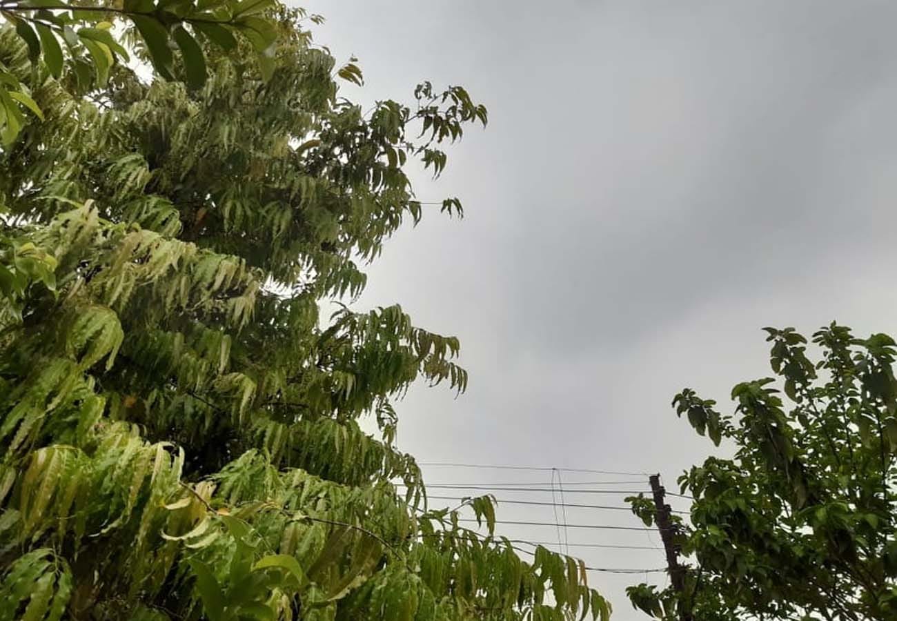 latest news related to weather department warns of rain and Storm