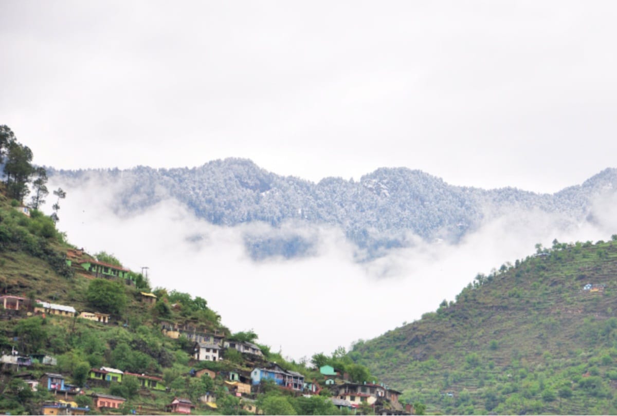 fresh snowfall and rainfall will affect apple flowering  in himachal