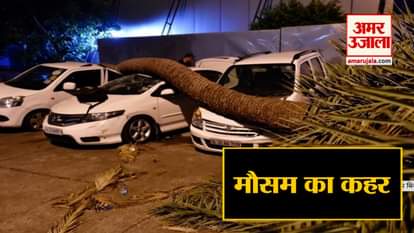 Heavy loss of life and property due to rain, typhoon and fall in celestial electricity