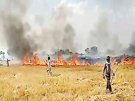 Fire broke out, 100 grams of gram and wheat crop burnt