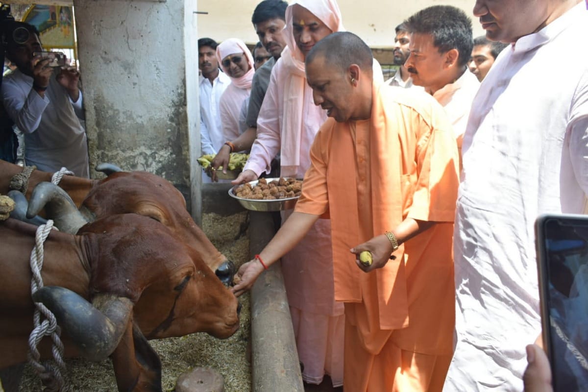 lok sabha elections 2019 Chief Minister Yogi Adityanath in varanasi