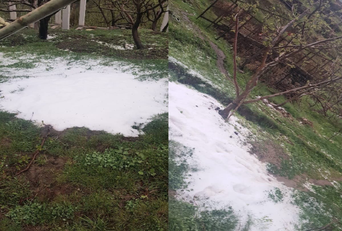 himachal weather report: hailstorm in shimla and avalanche in lahaul