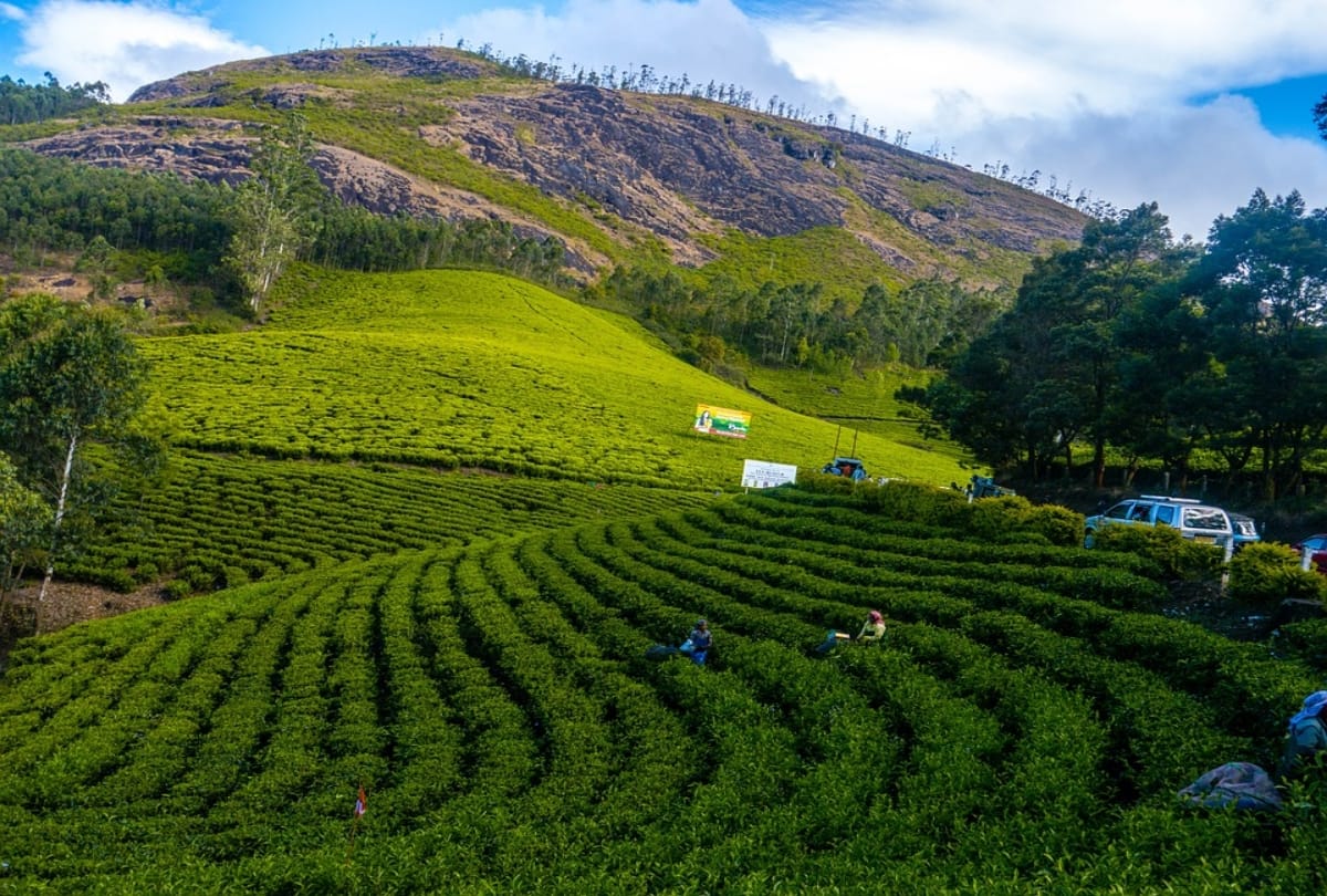 plan a trip to hill station near delhi for 2 days