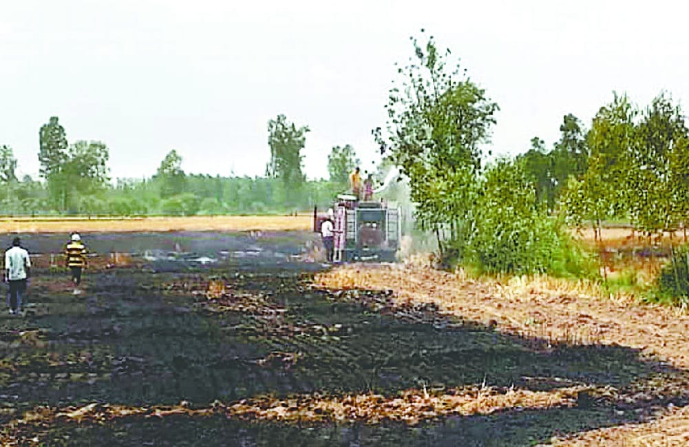 Wheat crop burnt in six acres in Bachchuri village