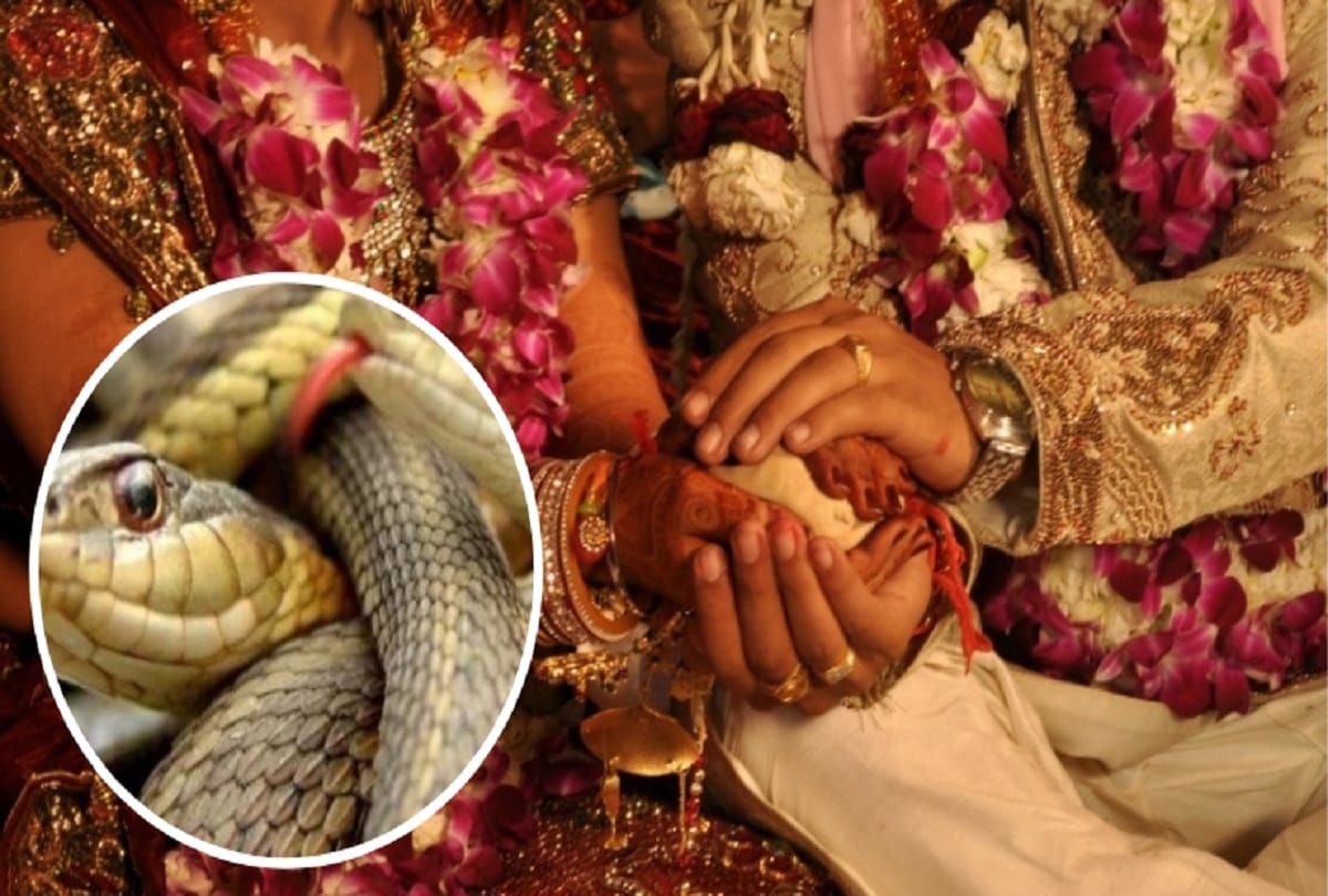 अंतरजातीय विवाह करने वाले नहीं बताते समाज कल्याण विभाग को