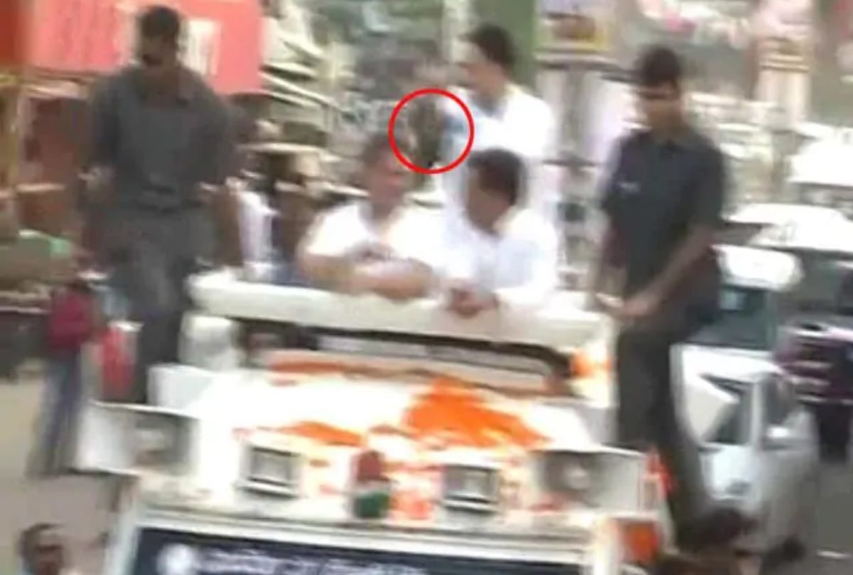 Lok sabha elections 2019 rahul to kejriwal beaten by shoes on various occasion also tamanna bhatia