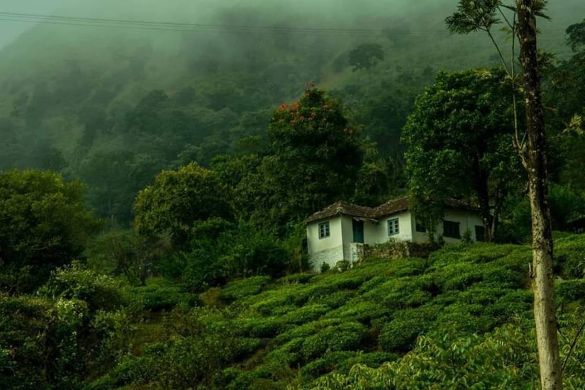 beautiful resorts in India to visit this summer