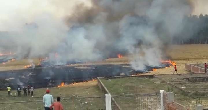 42 bigha wheat crop by fire