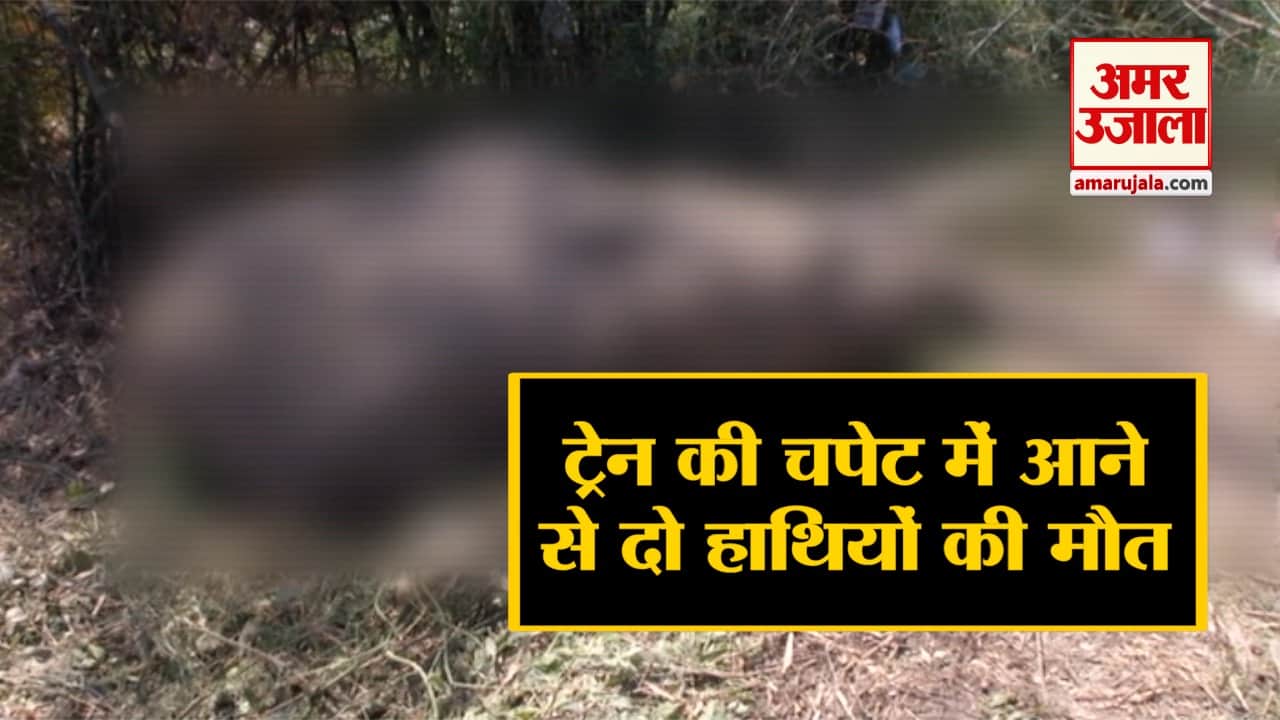 इंडिया न्यूज