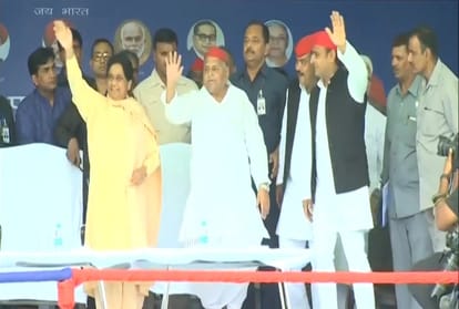 Lok Sabha Elections 2019 See why alliance is important for Akhilesh Yadav and Mayawati.