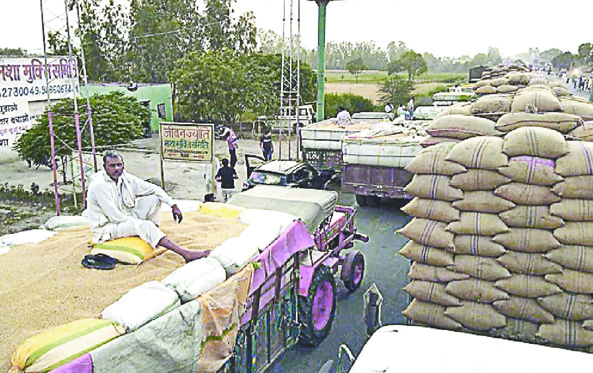 hariyaana ne roka up ke kisaano ka wheat