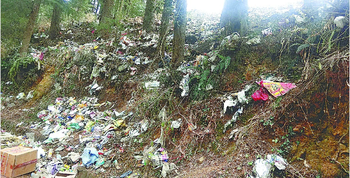 throwing garbage near road