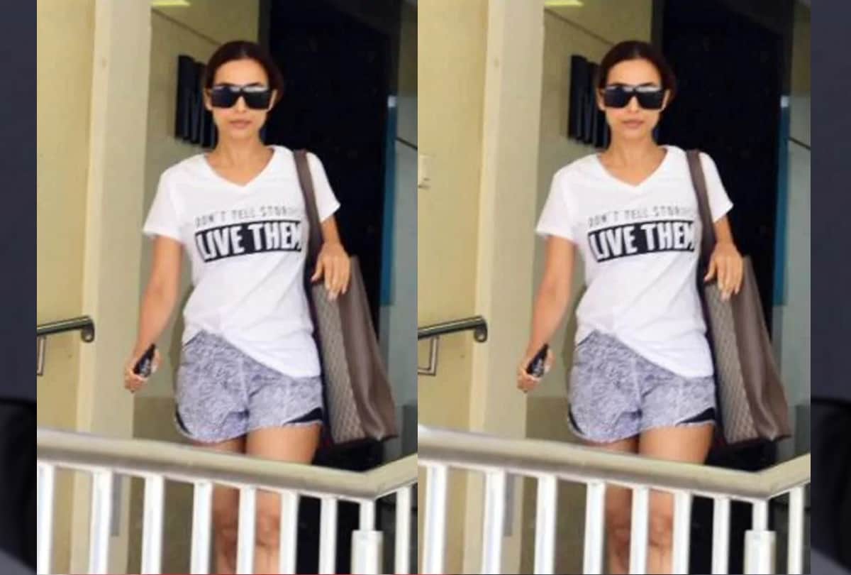 sunday funday column malaika arjun to vicky kaushal here top news