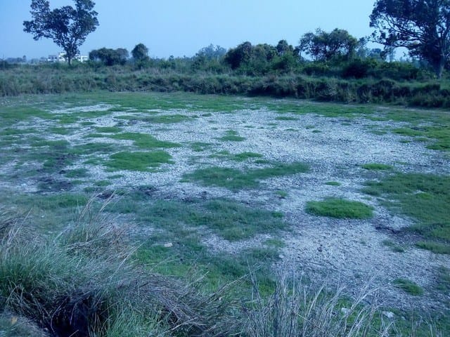 Ponds, no water in ponds, cattle upset